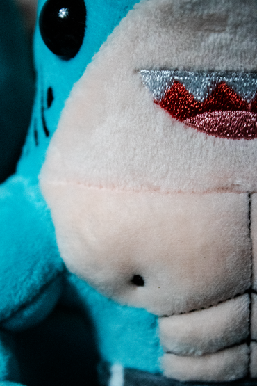 Chompz The Shredded Shark